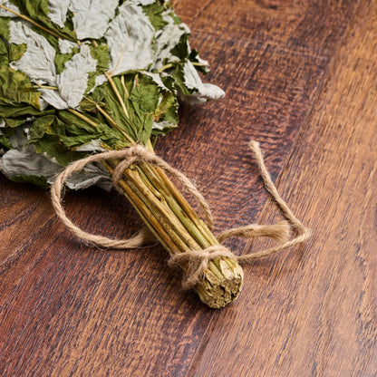 Raspberry Sauna Whisk (Rubus idaeobatus)