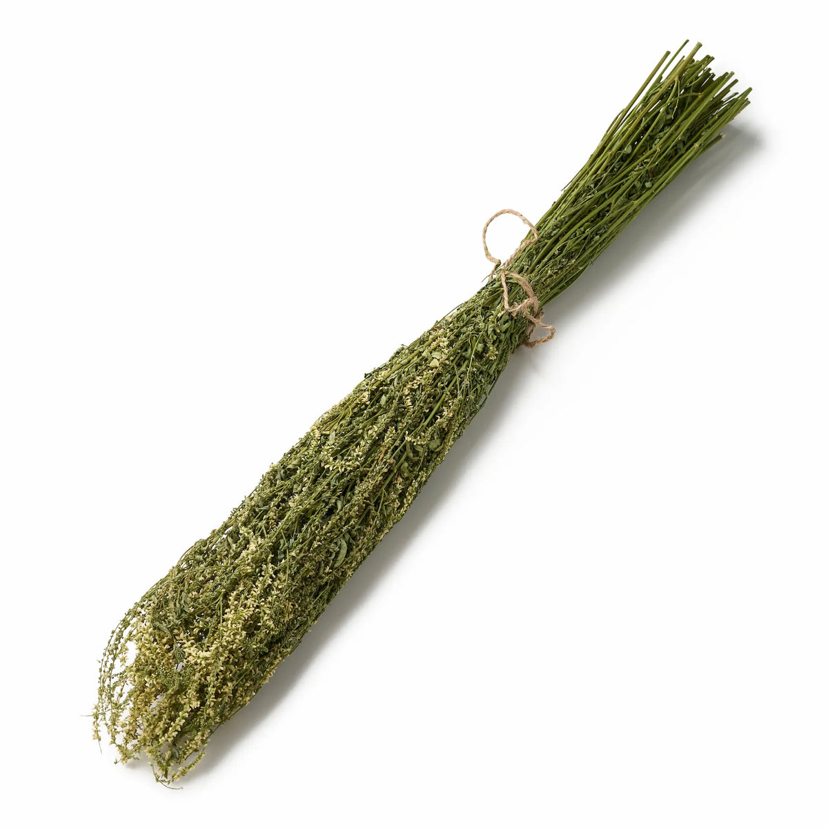 White Melilot Sauna Herbs (Melilotus albus)