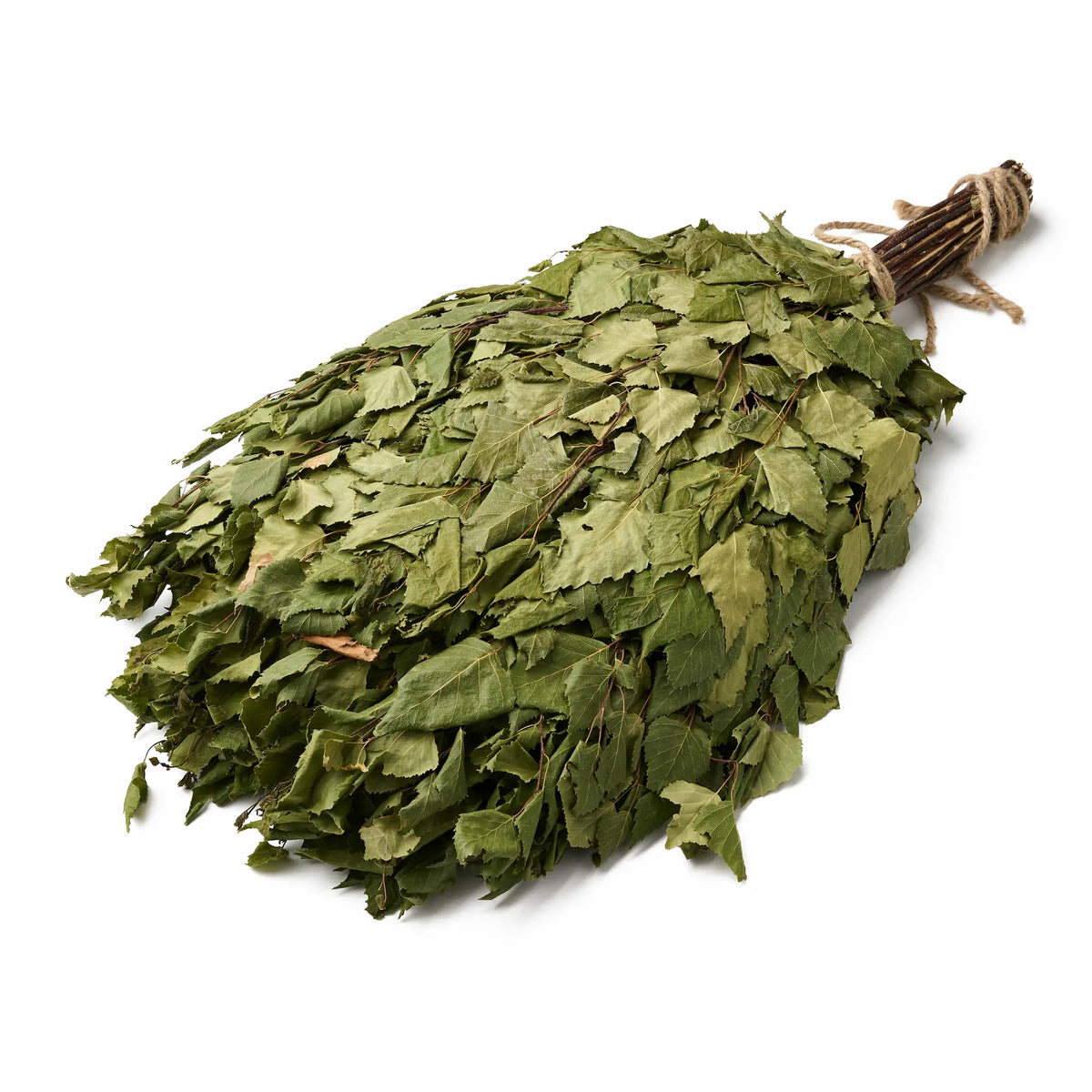 Birch Sauna Whisk (Betula)