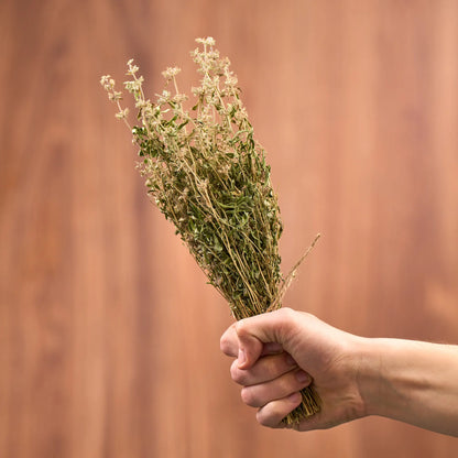 Thyme Sauna Herbs (Thymus)