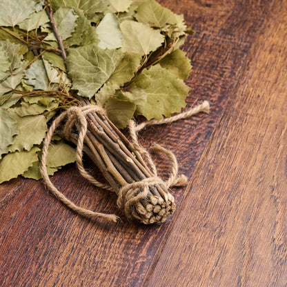 Drebulės vanta (Populus tremula)