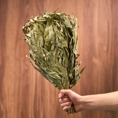 Eucalyptus Sauna Whisk (Eucalyptus)