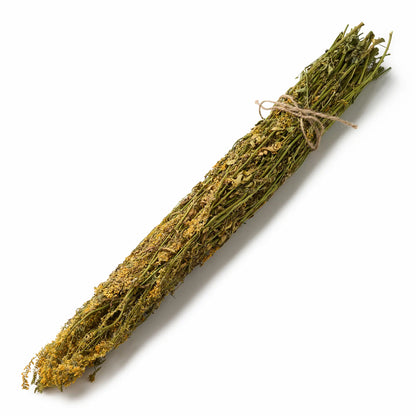 Yellow Melilot Sauna Herbs (Melilotus officinalis)