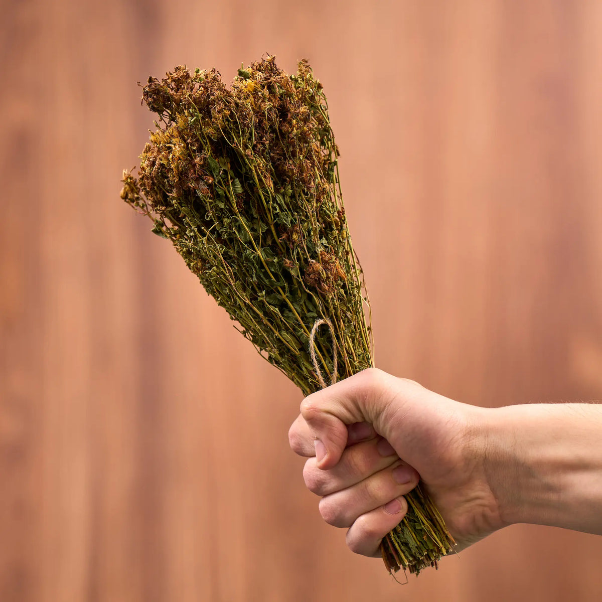 St. John's Wort Sauna Herbs (Hypericum)