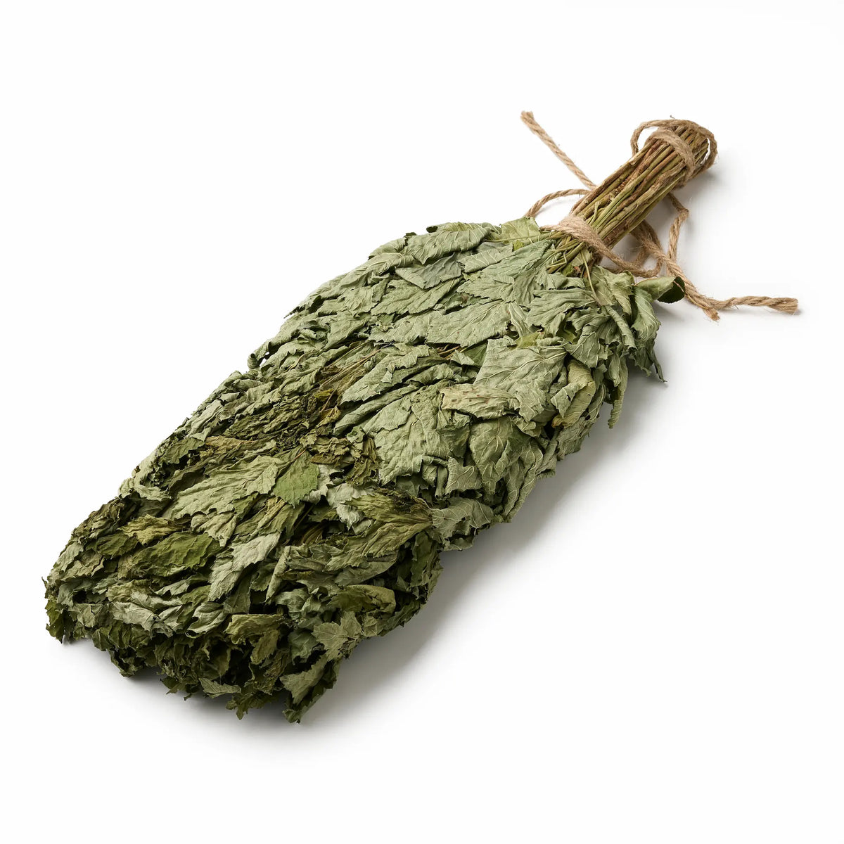 Juodojo serbento vanta (Ribes nigrum)