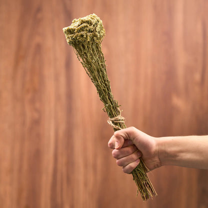 Yarrow Sauna Herbs (Achillea)