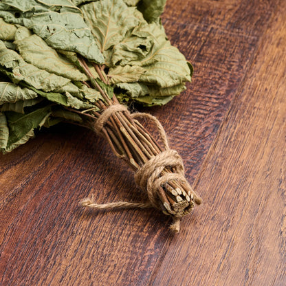 Common Hazel Sauna Whisk (Corylus avellana)