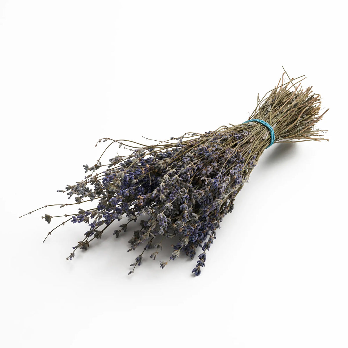 Lavender Sauna Herbs (Lavandula)