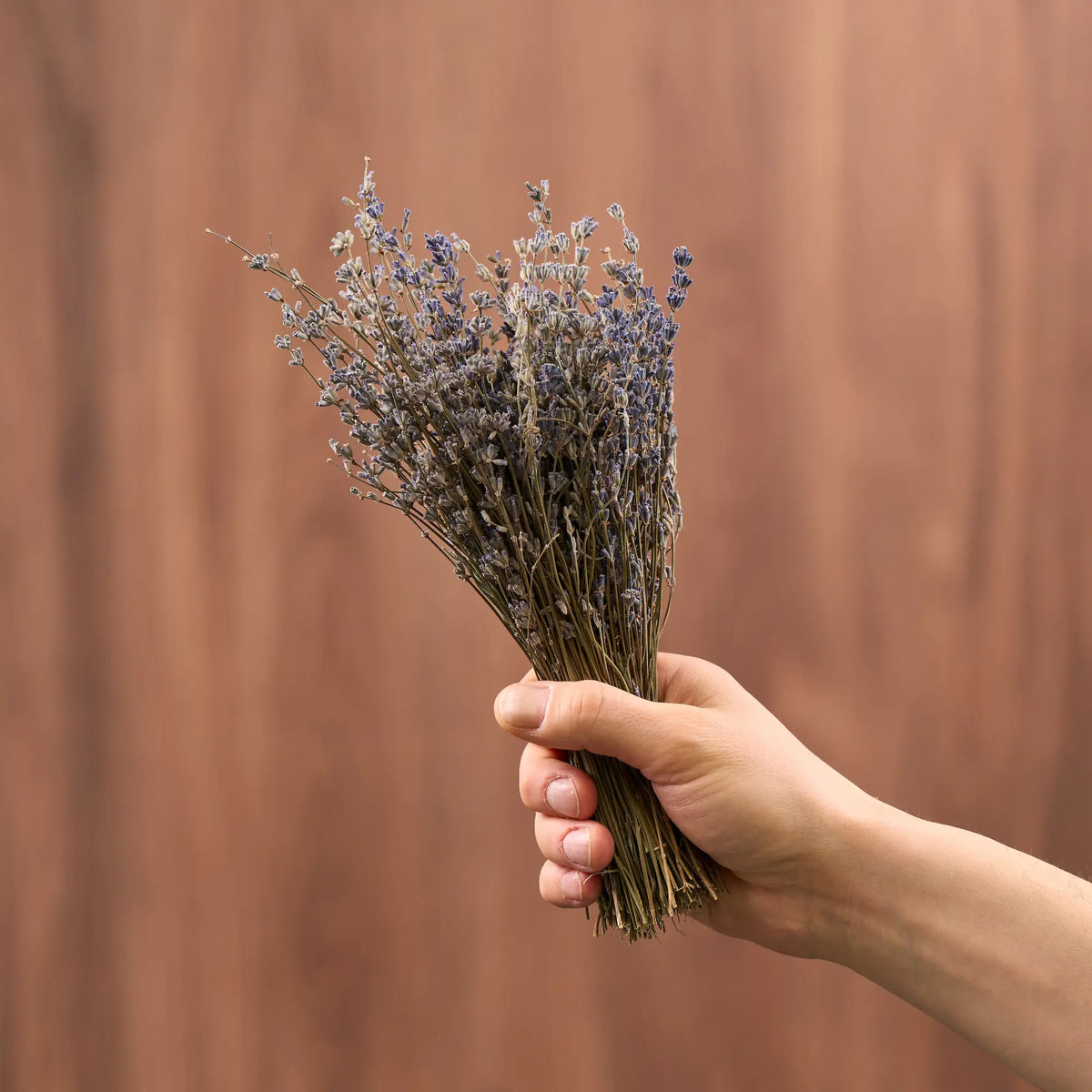 Lavender Sauna Herbs (Lavandula)