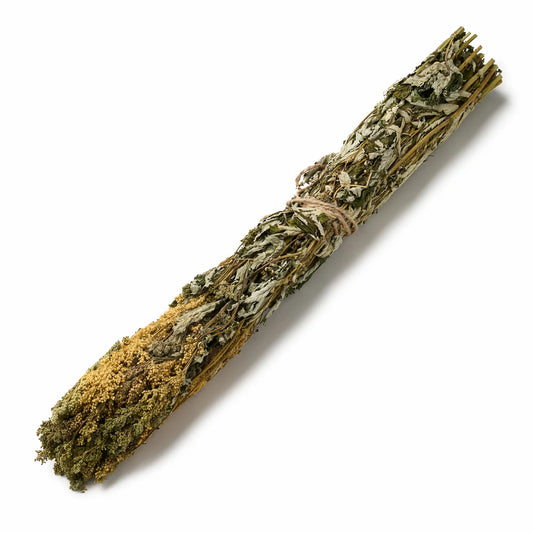 Pelkinė vingiorykštė (Filipendula ulmaria)