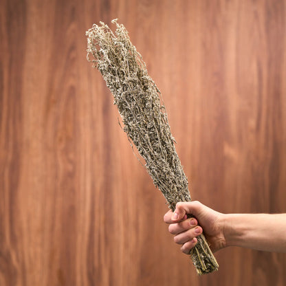 Common Wormwood Sauna Herbs (Artemisia absinthium)