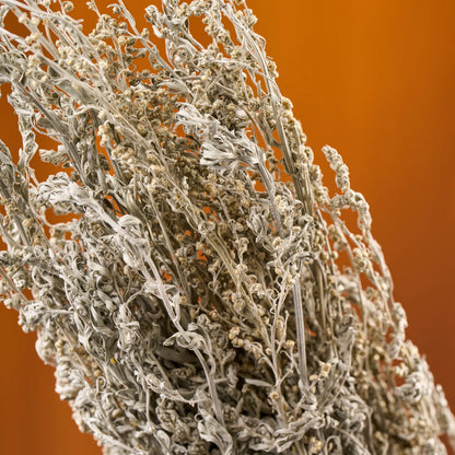 Common Wormwood Sauna Herbs (Artemisia absinthium)