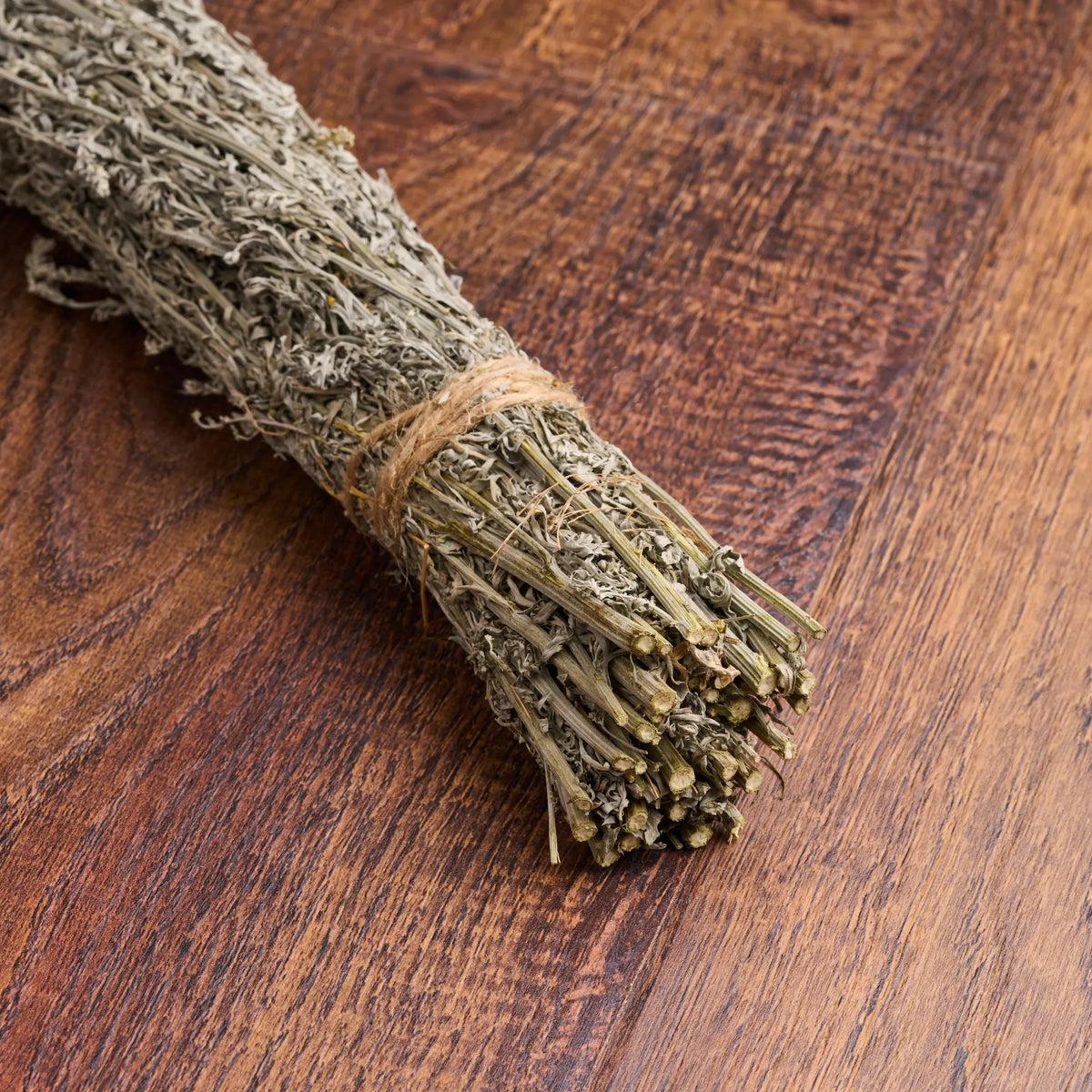 Common Wormwood Sauna Herbs (Artemisia absinthium)