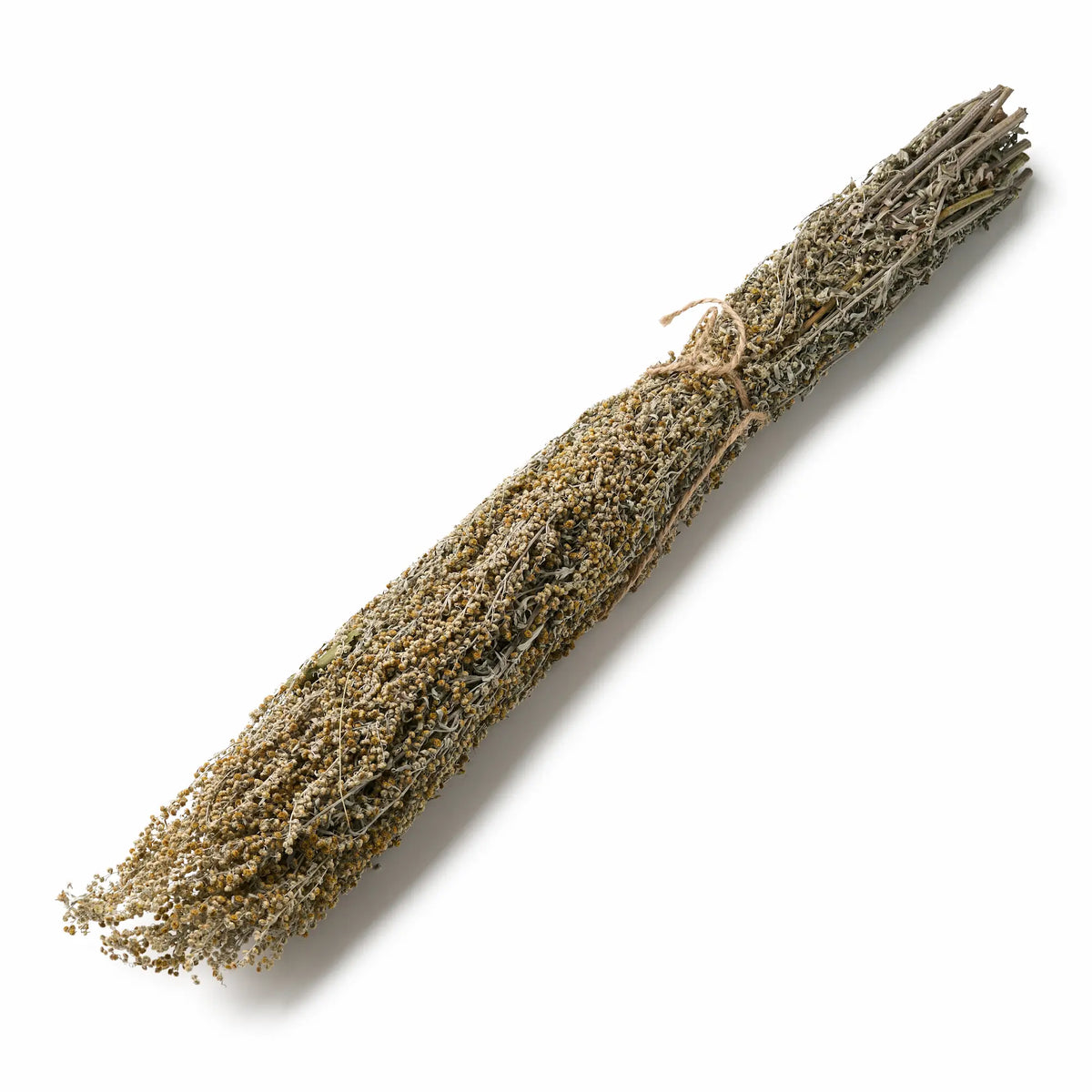 Pelynas, žydintis (Artemisia absinthium)
