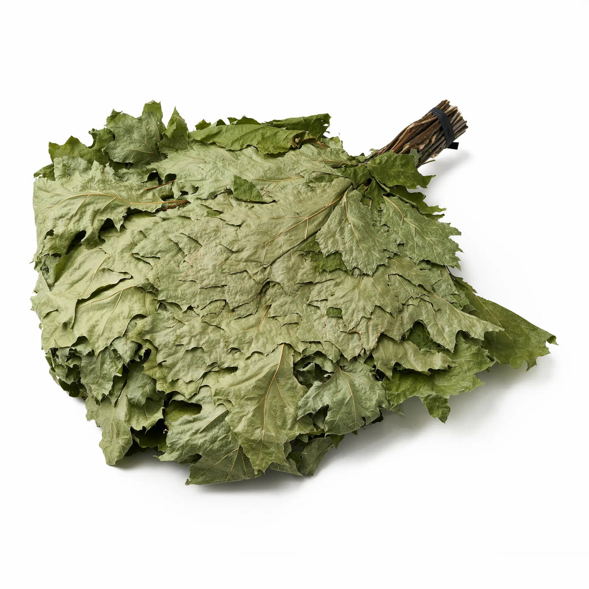 Red Oak Sauna Whisk (Quercus rubra)