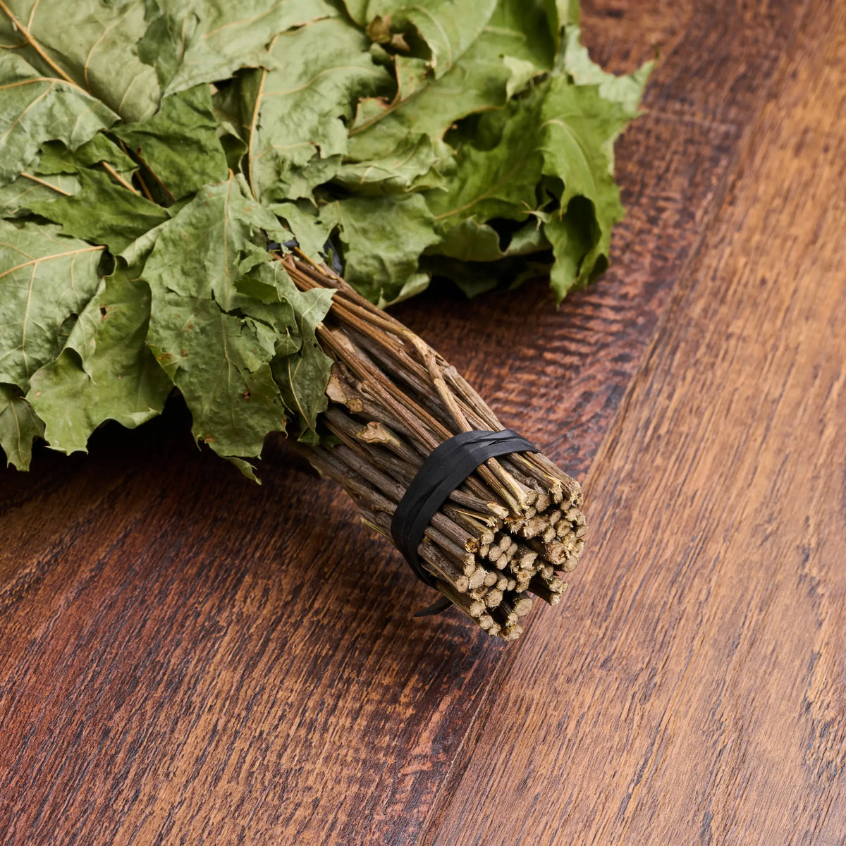 Red Oak Sauna Whisk (Quercus rubra)