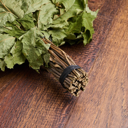 Red Oak Sauna Whisk (Quercus rubra)