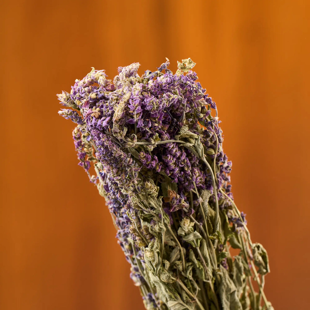 Sage Sauna Herbs (Salvia)