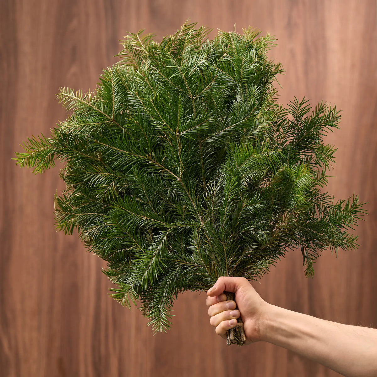 Siberian Fir Sauna Whisk (Abies sibirica)