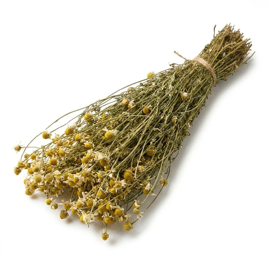 Chamomile Sauna Herbs (Matricaria chamomilla)