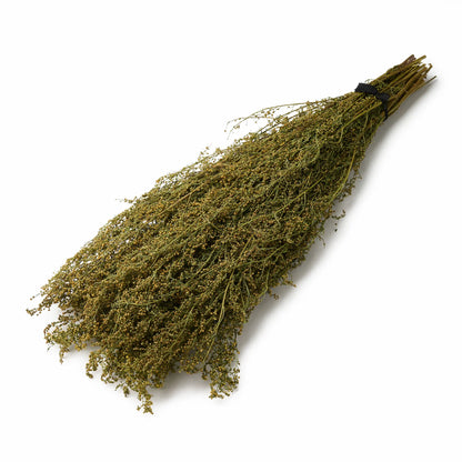 Sweet Wormwood Sauna Herbs (Artemisia annua)