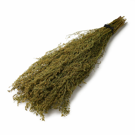 Sweet Wormwood Sauna Herbs (Artemisia annua)