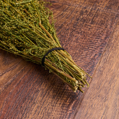 Sweet Wormwood Sauna Herbs (Artemisia annua)